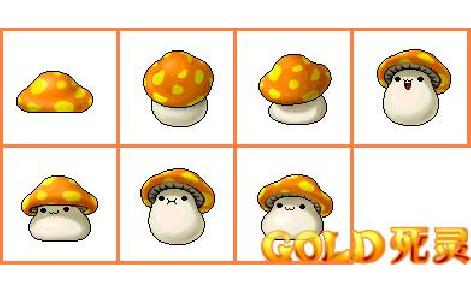 2.JPG by iNewS